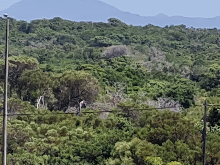 0 Bedroom Property for Sale in Paradise Beach Eastern Cape